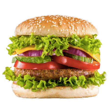 Vegetable Burger